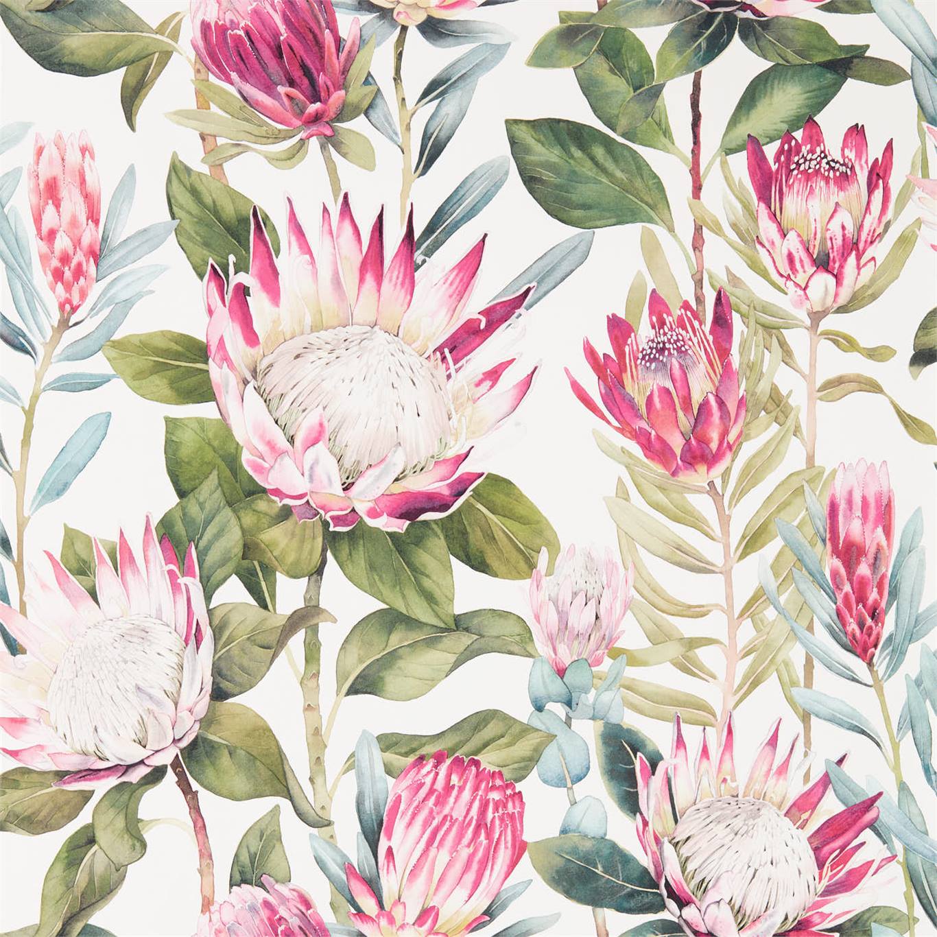 Обои Sanderson The Glasshouse King Protea 216646 Обои Sanderson The Glasshouse King Protea 216646